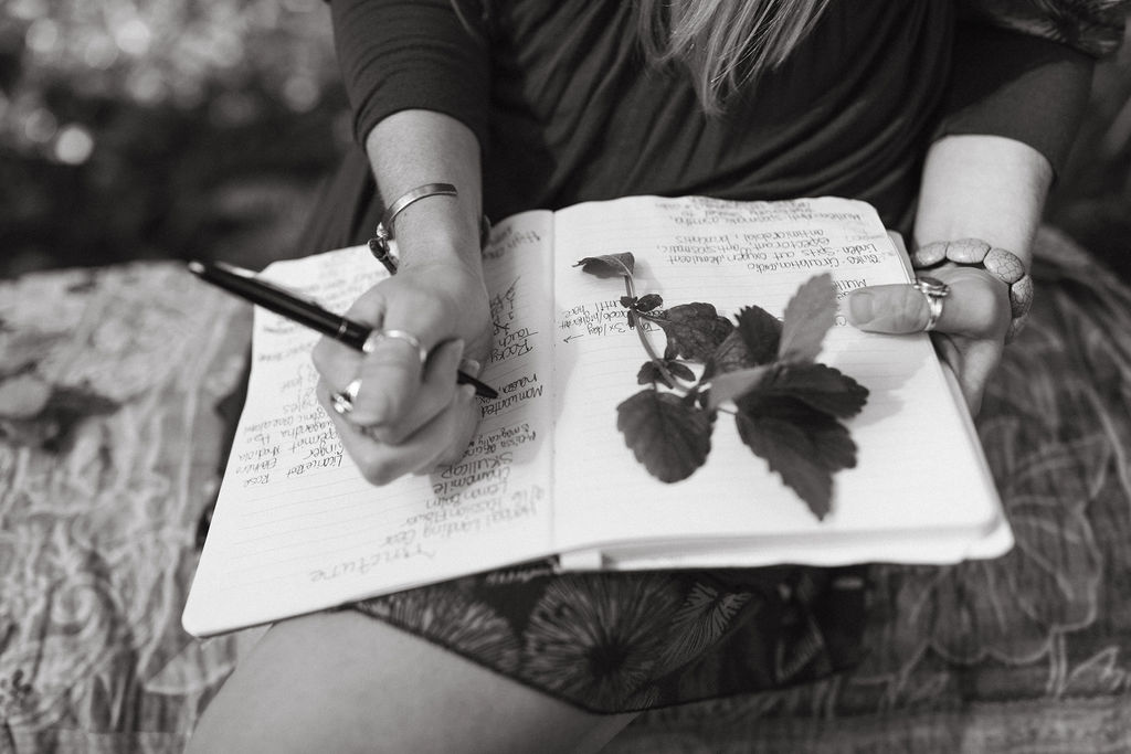 Meet Lindsey Walker, founder of Mockingbird Remedies, black and white photo, woman sitting writing in journal with herbs laying across one page