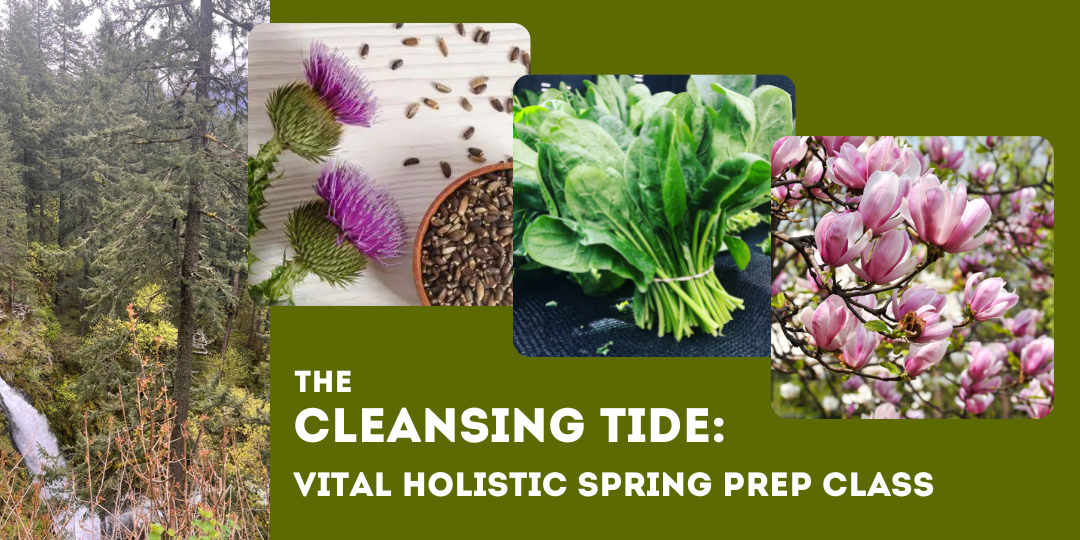 The Cleansing Tide: Vital Holistic Spring Prep Class