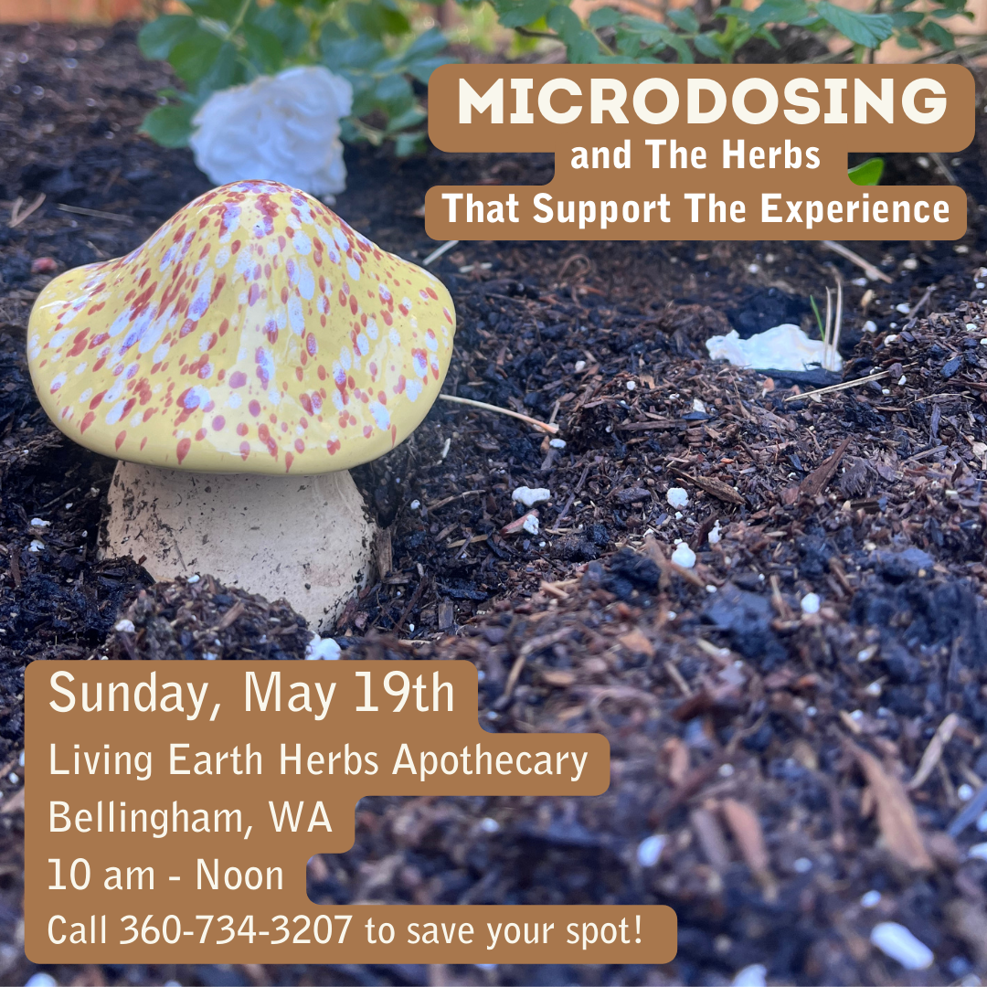 MICRODOSING and the herbs that support the experience